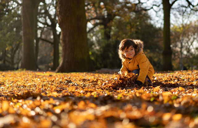 Child playing in leaves