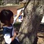 Exploring Trees on the Playground