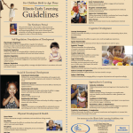 Guidelines Poster
