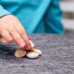 Child collecting seashells