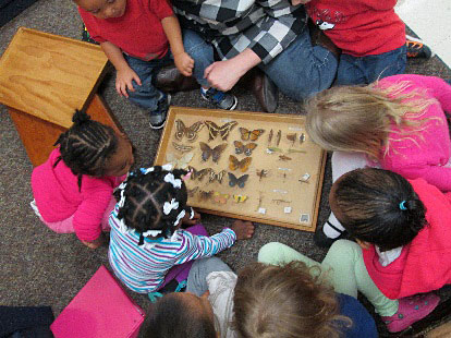 Discovering the World of Insects on the Playground